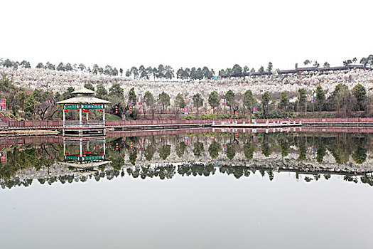 đánh lô trên mạng