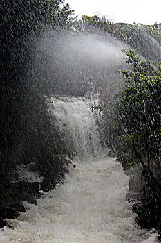 soi cau xo so dong nai