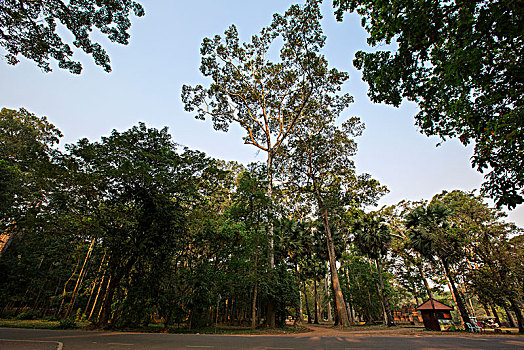 xổ số bắc ninh