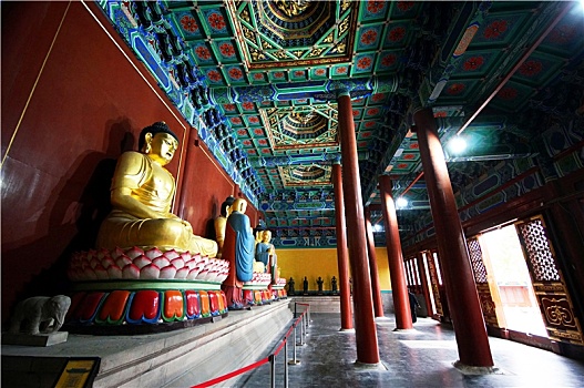 cau lo rong bach kim