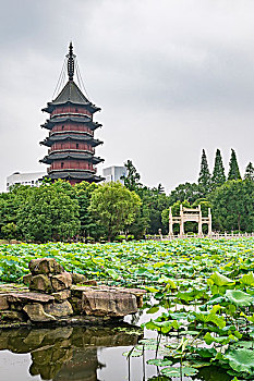 dự đoán xổ số trà vinh hôm nay