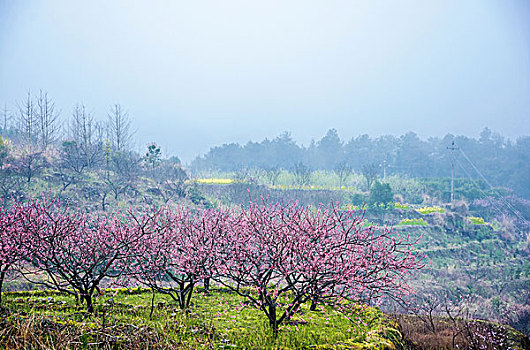 xo so minh ngoc new