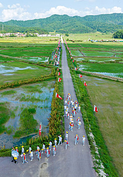 cầu đề bạch thủ