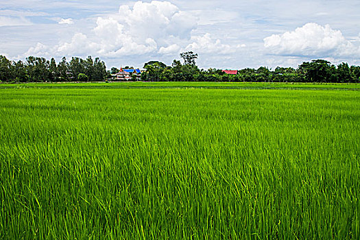 xổ số thứ 5