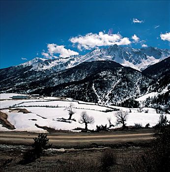 xs24h