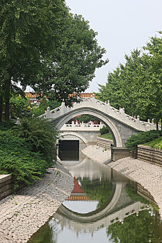 soi câu bach kim
