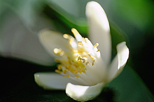 xổ số trong tuần
