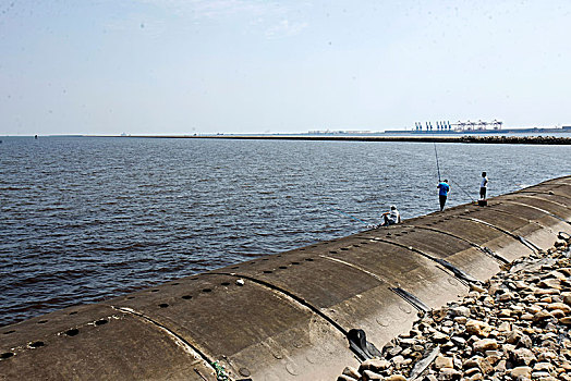 dự đoán đề hôm nay