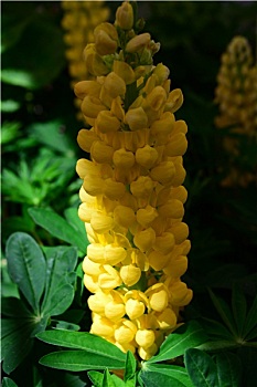 soi cầu lô ngày hôm nay